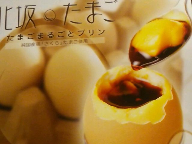 プリン?_北坂たまご