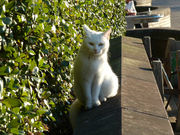 ユキさんの平和祈念像の投稿写真3