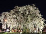 yosshyさんの法亀寺の投稿写真1