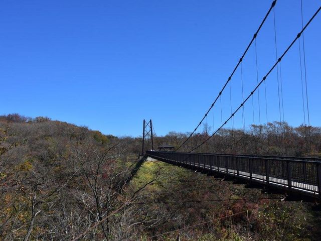 大吊橋_八幡のツツジ
