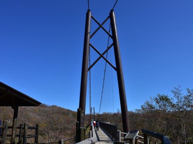 大吊橋_八幡のツツジ