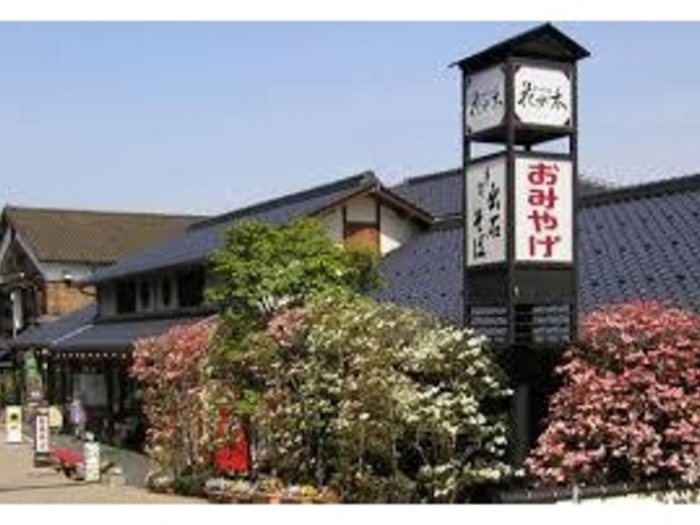 店の前に咲いたハナミズキ_出石皿そば花水木