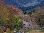 まりもさんの御岳山リフトの投稿写真1