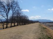 キヨさんの信玄堤の投稿写真1