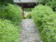 ギグスさんの本光寺の投稿写真1