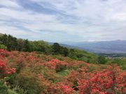 おくしーさんの長峰公園の投稿写真1