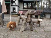 あきさんの萌木の里の投稿写真1