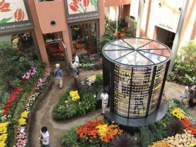 館内_チューリップ四季彩館