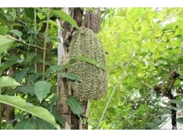 動植物がいっぱい_足立区生物園