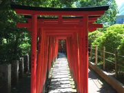 綾さんの根津神社の投稿写真1