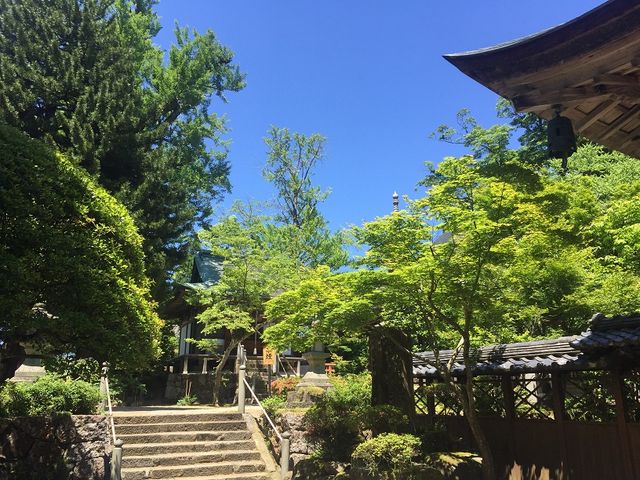 大乗寺境内北側を望む_大乗寺(応挙寺)