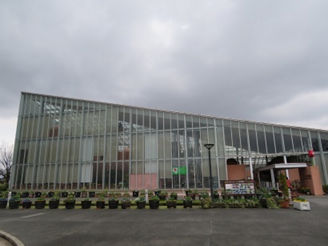 チューリップ四季彩館_チューリップ四季彩館