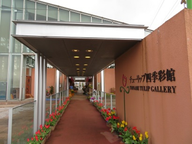 チューリップ四季彩館_チューリップ四季彩館