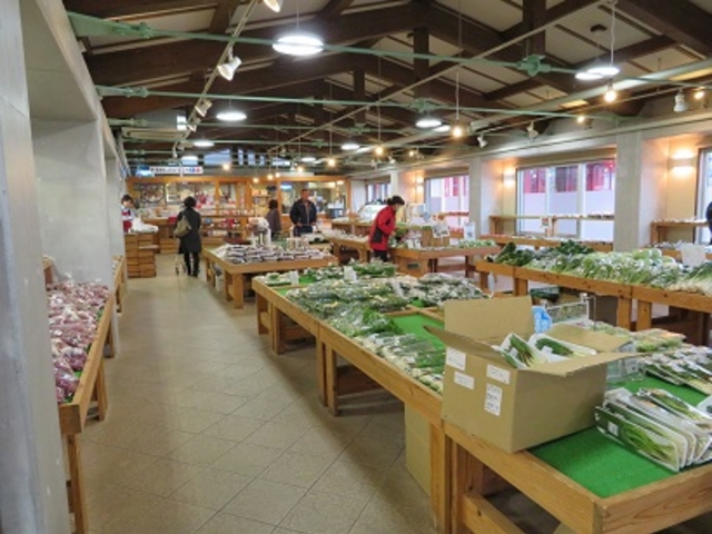 山菜が豊富な産直売り場_道の駅福光