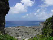 かめさんさんの荒木・中里遊歩道の投稿写真3