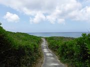 かめさんさんの荒木・中里遊歩道の投稿写真4