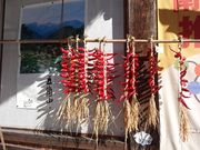 キヨさんの相倉屋合掌茶屋の投稿写真3
