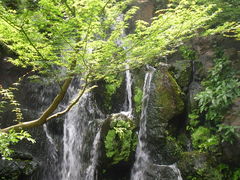 日本庭園 由志園の写真1