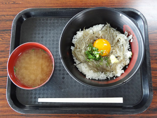 赤富士丼(生しらすが若干醤油色)_田子の浦港 漁協食堂