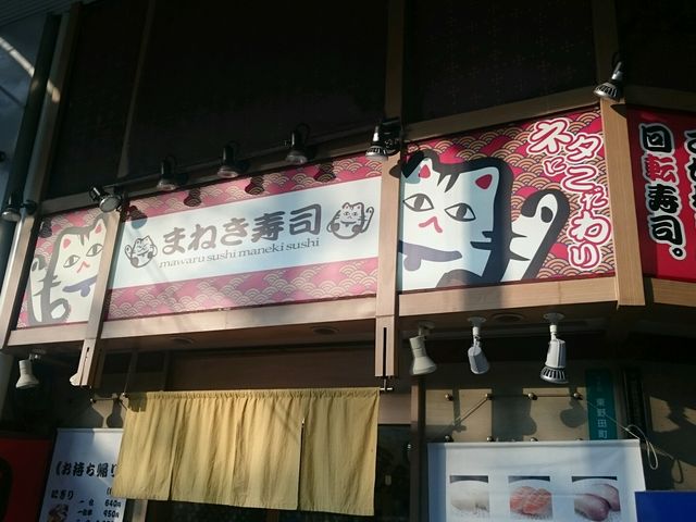 猫がちょっと怖い_まねき寿司