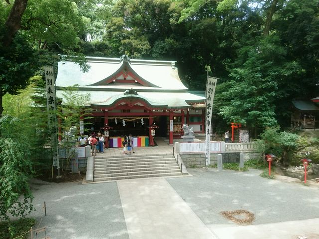 本殿_来宮神社の大楠