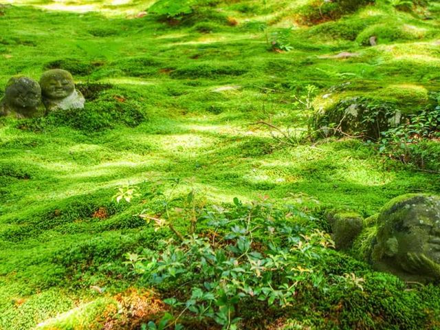 わらべ地蔵_三千院