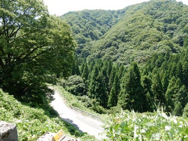 w-masaさんの木ノ芽峠(北陸道)の投稿写真1