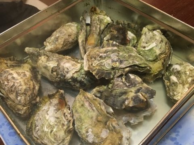 ha---iさんのかき小屋 海平商店 袋町店の投稿写真1