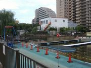 ようはなさんの仙台堀川公園の桜並木の投稿写真2