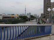 ようはなさんの仙台堀川公園の桜並木の投稿写真4