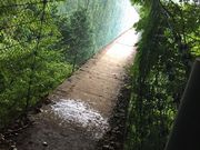 みっちゃんさんのかりがね橋の投稿写真1