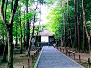 ぴあにっしもさんの法然院の投稿写真1