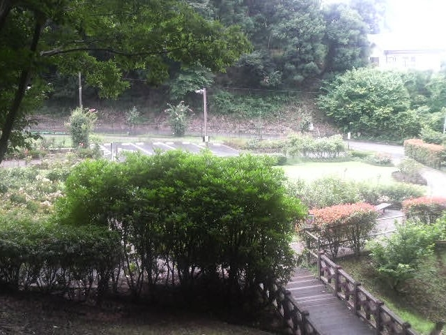 城山公園にはバラ園があります_城山公園