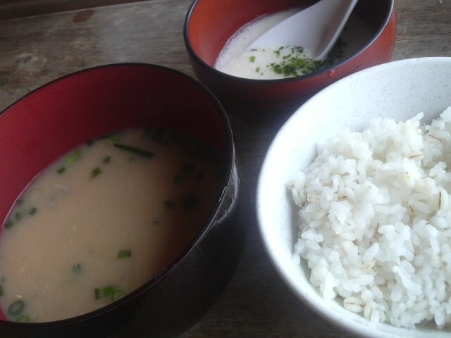 ひょうろくだまの麦とろめしと鯉の味噌汁_飄禄玉