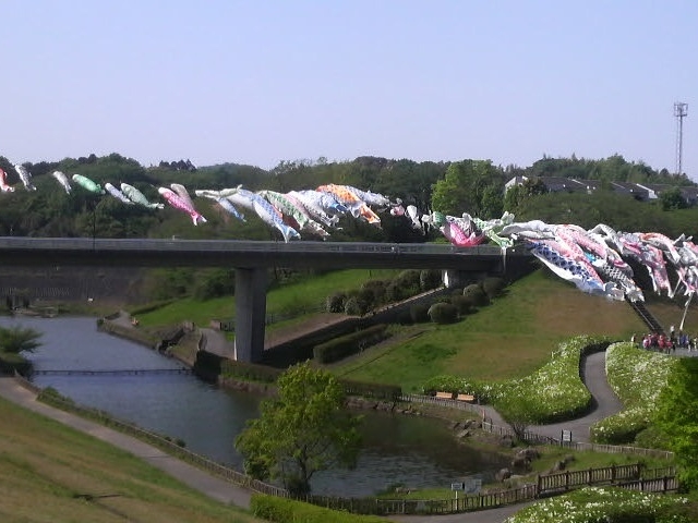 若宮公園には鯉のぼりが風にはためいていた_若宮公園