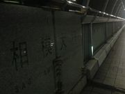 さとけんさんの相模大橋の投稿写真1