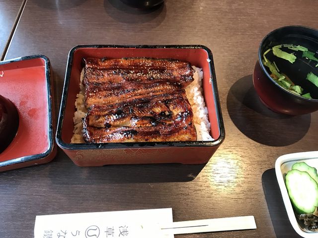 つやつやの鰻_浅草うな鐵