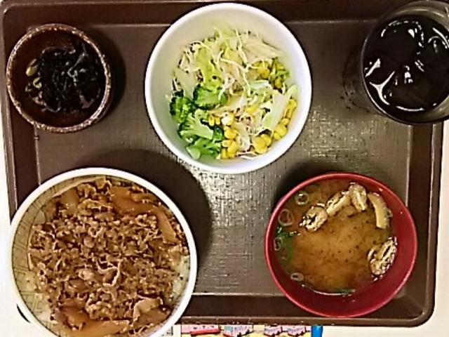 サラダセット_すき家 349号常陸太田店