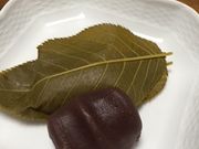 かずきちさんの琴きき茶屋の投稿写真1