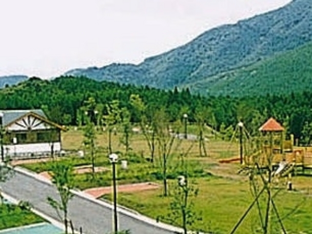 アクセルゼンカイさんのオートキャンプ森のかわなべの投稿写真1