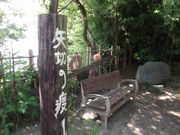 ジンさんの平成百景 柴又帝釈天及び周辺の街並みの投稿写真1