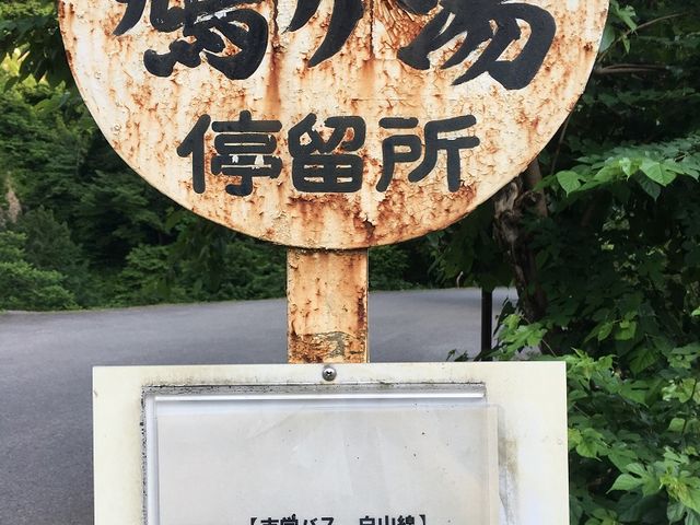 越前大野駅からバスでも来れます。_鳩ヶ湯温泉