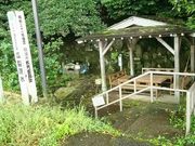 ゆみぶさんの瓜裂清水の投稿写真1