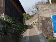 artnekoさんの伊吹島の投稿写真3