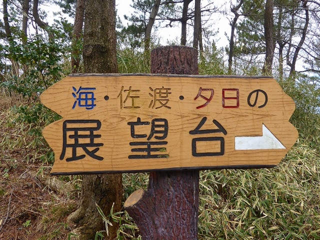 新潟県・NEXCO米山SA SAの裏には展望台が_北陸自動車道米山SA上り線フードコート