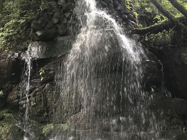 滝2_万葉公園