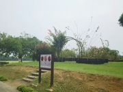 ゆみぶさんの柳田植物公園ふれあい館の投稿写真1