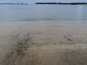 はじめさんの大浦海水浴場の投稿写真1