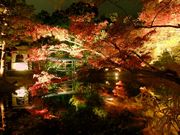 マシオさんの高台寺の投稿写真1
