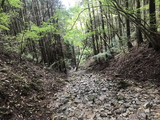 山道_金剛山